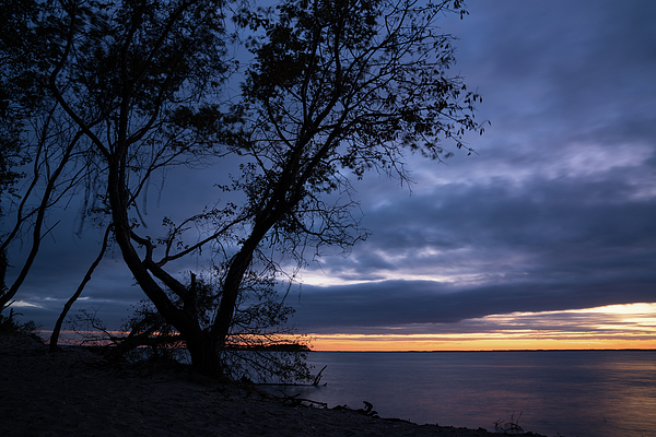 Blue Hour sunset on a bay with dead tree by Kyle Lee Blue Hour sunset on a bay with dead tree by Kyle Lee